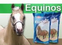 Animais - Ração para Cavalo RTB  - Ração para Cavalo RTB 