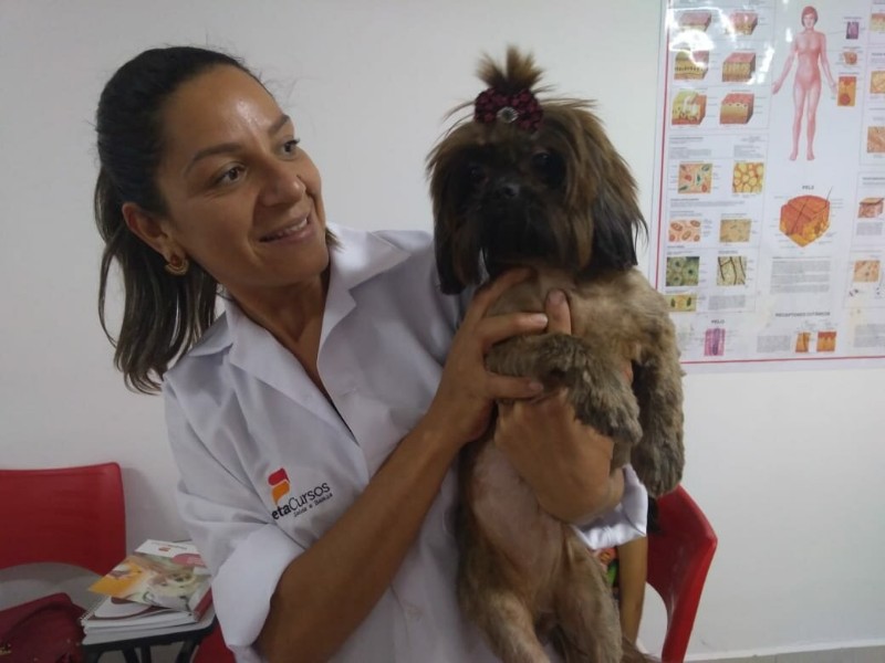 curso-de-auxiliar-de-veterinario-e-pet-shop