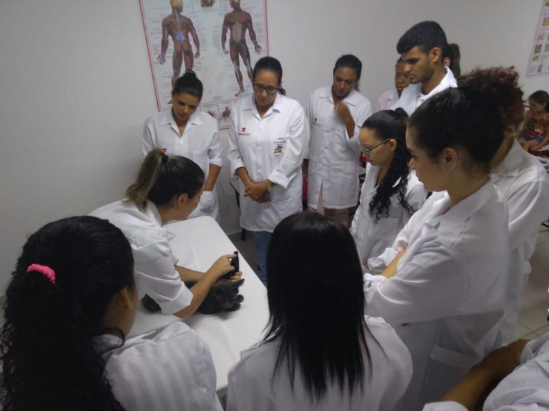 curso-de-auxiliar-de-veterinario-e-pet-shop