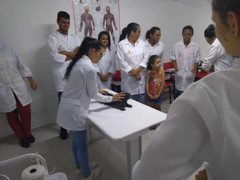 curso-de-auxiliar-de-veterinario-e-pet-shop