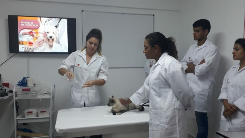 curso-de-auxiliar-de-veterinario-e-pet-shop