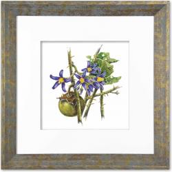 Quadro Gravura com Moldura Flor Fruta Cerrado Joa Americana Campinas Rio Claro Decoração