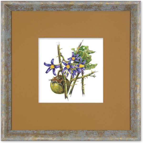 quadro-gravura-com-moldura-flor-fruta-cerrado-joa-americana-campinas-rio-claro-decoracao