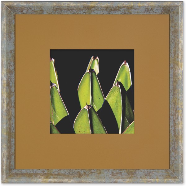 quadro-foto-com-moldura-planta-agave-americana-campinas-rio-claro-decoracao