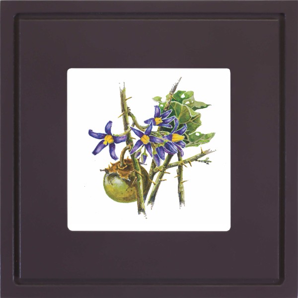 quadro-gravura-com-moldura-flor-fruta-cerrado-joa-roxo-americana-campinas-rio-claro-decoracao