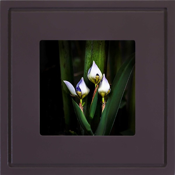 Mainstays 11x14 Matted to 8x10 Linear Frame Black