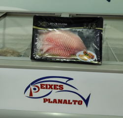 Filé de Tilápia Fresca Brazilian Fish 