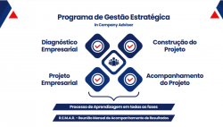 Programa de Gestão Estratégica Empresarial