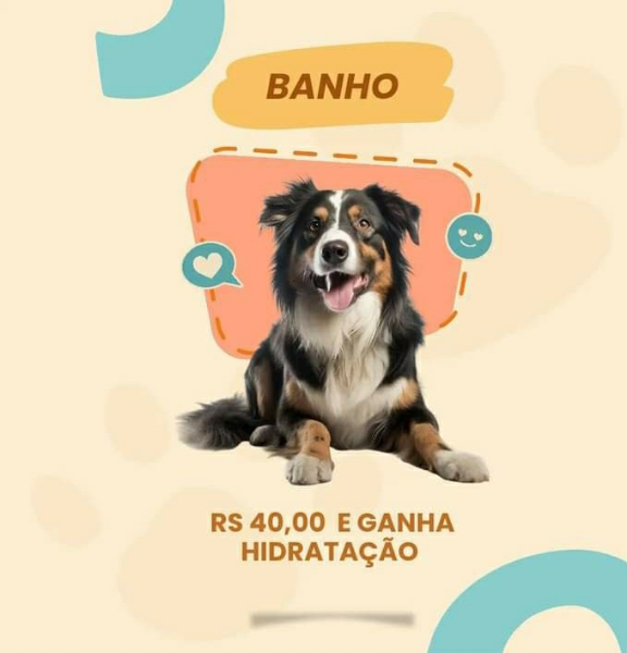 banho-pet-cachorro-caes-