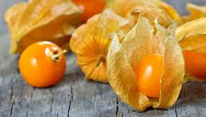 physalis-